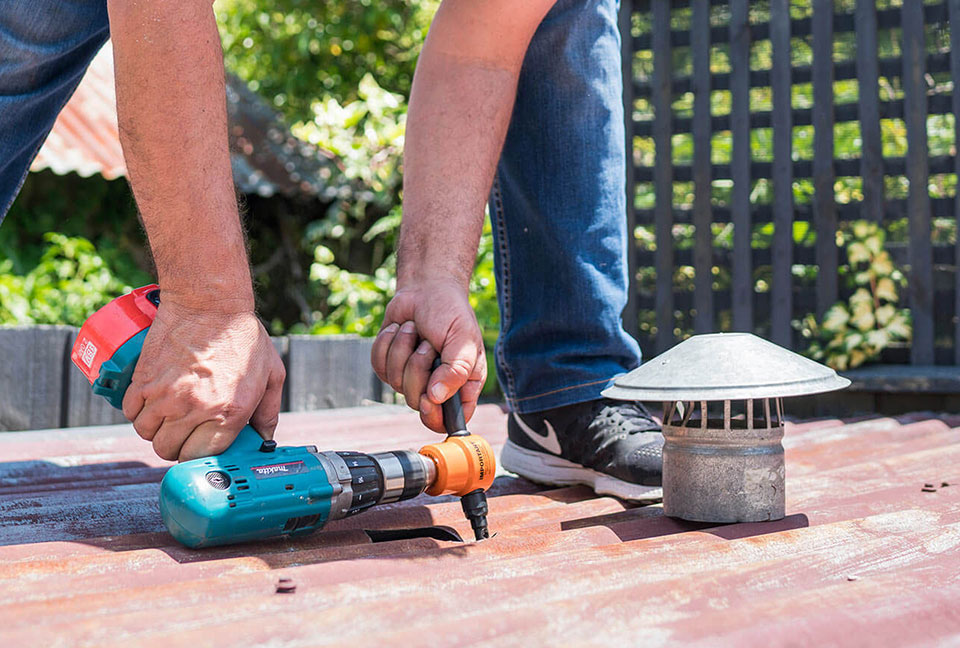 Professional Nibbler 3