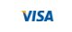 Visa Logo