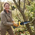 Kwikshear Cordless Mini Chainsaw (1)