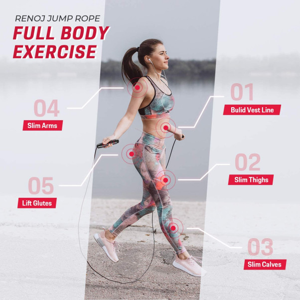 Full Body Exercise