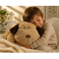 2 In 1 Kids Pet Pillow And Plush Toy (2)